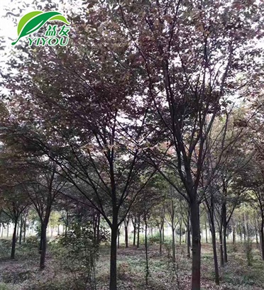 現(xiàn)場(chǎng)工程圖片