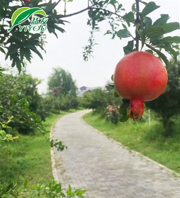 現(xiàn)場(chǎng)工程圖片
