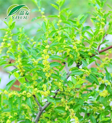 現(xiàn)場(chǎng)工程圖片