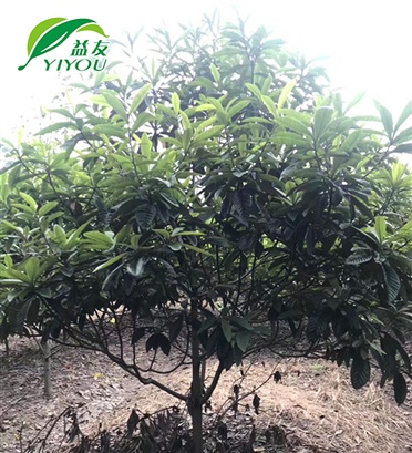 現(xiàn)場工程圖片